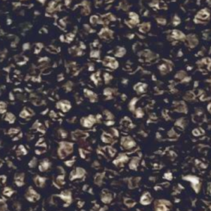 Pfeffer schwarz ganz Qualität: bio